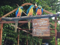 Cartagena Kolumbien 