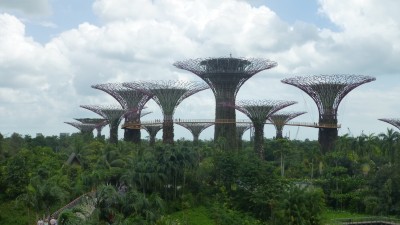 Garden by the Bay
